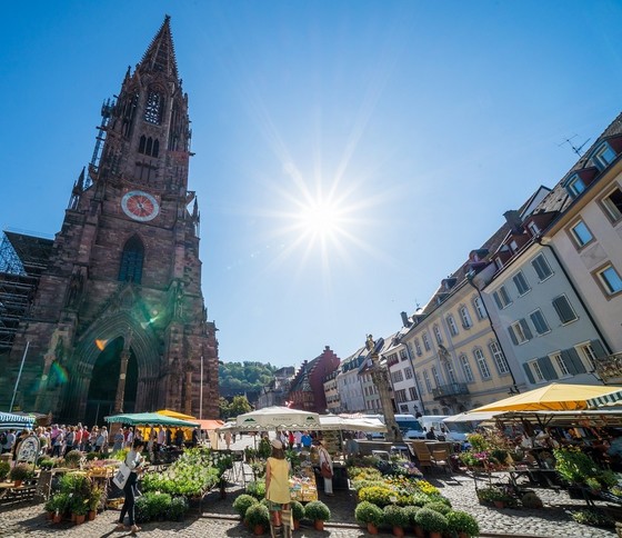 Freiburg Münstermarkt