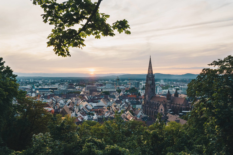 Blick auf die Stadt Freiburg und das Freiburger Münster bei Sonnenuntergang